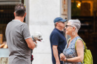 Klikom po Korzu 27.6.-8071 Klikom po Korzu 27.6.-8071