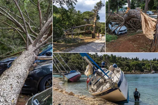 LS-22beaebc-3213-4548-9b24-92076762eec2-550