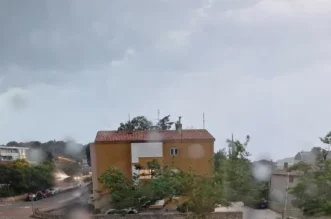 O-814702-550 O-814702-550