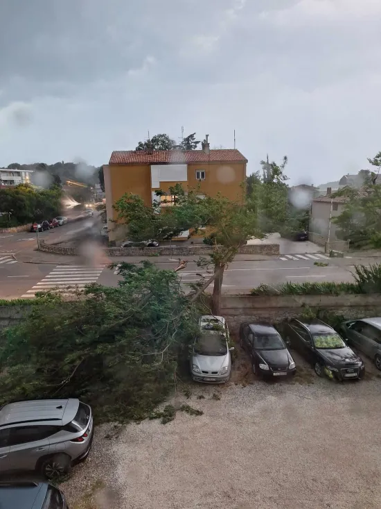 O-814702-550 O-814702-550