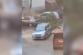 O-814704-550 O-814704-550