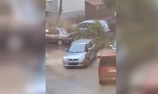 O-814704-550 O-814704-550