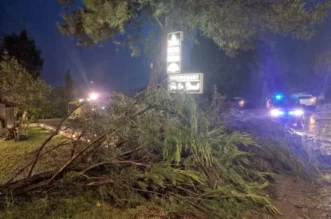 O-814706-550 O-814706-550