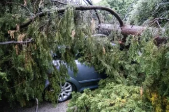 O-814708-550 O-814708-550