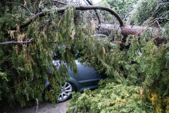 O-814708-550 O-814708-550