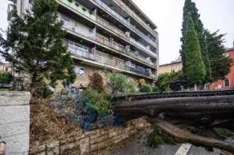 O-814709-550 O-814709-550