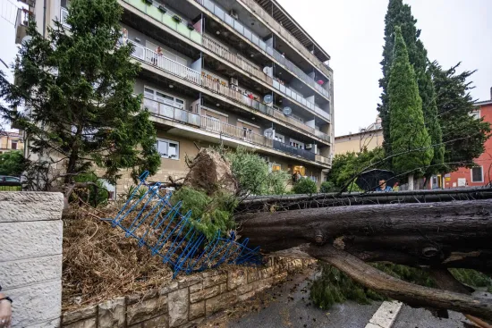 O-814709-550 O-814709-550