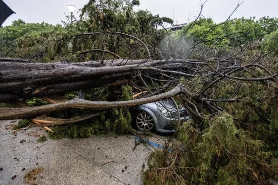 O-814711-550 O-814711-550