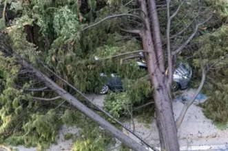 O-814712-550 O-814712-550