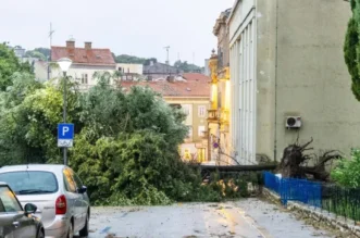 O-814715-550 O-814715-550