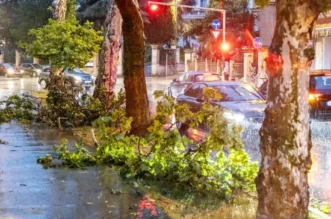 O-814716-550 O-814716-550