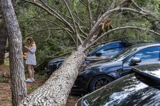 O-814728-550 O-814728-550