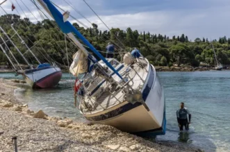 O-814729-550 O-814729-550