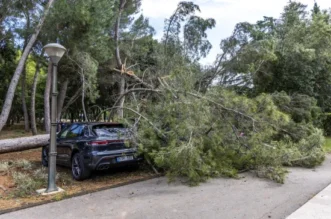 O-814747-550 O-814747-550