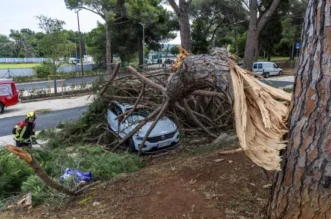 O-814750-550 O-814750-550