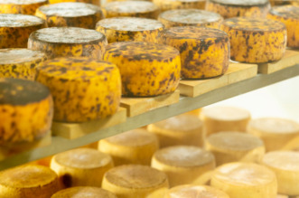 Screenshot Screenshot