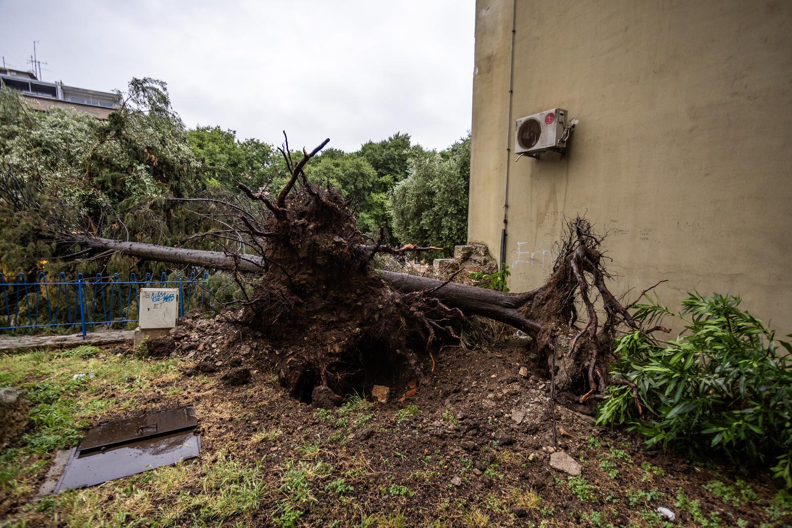 Olujno nevrijeme rušilo stabla u Puli Olujno nevrijeme rušilo stabla u Puli