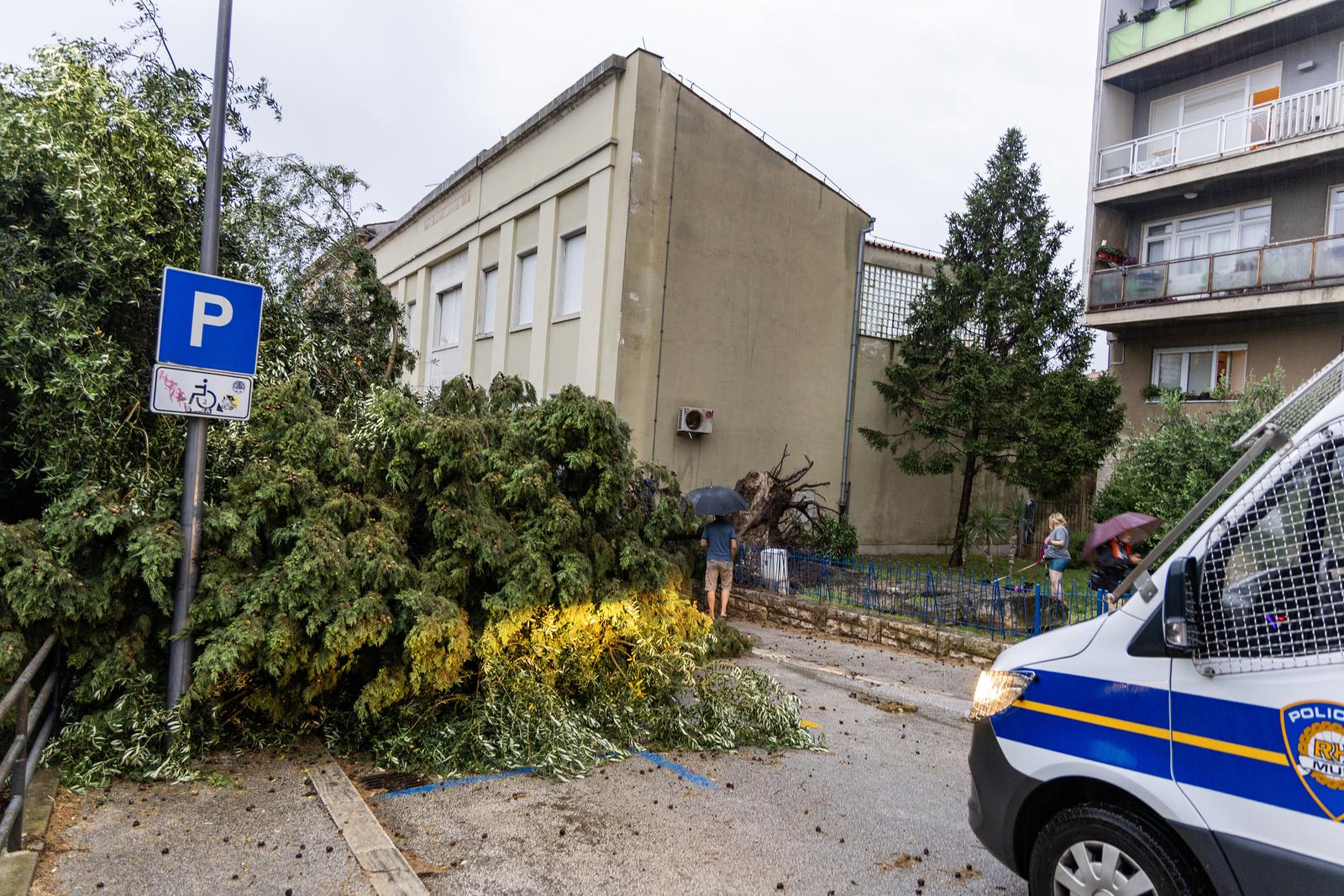 Olujno nevrijeme rušilo stabla u Puli Olujno nevrijeme rušilo stabla u Puli