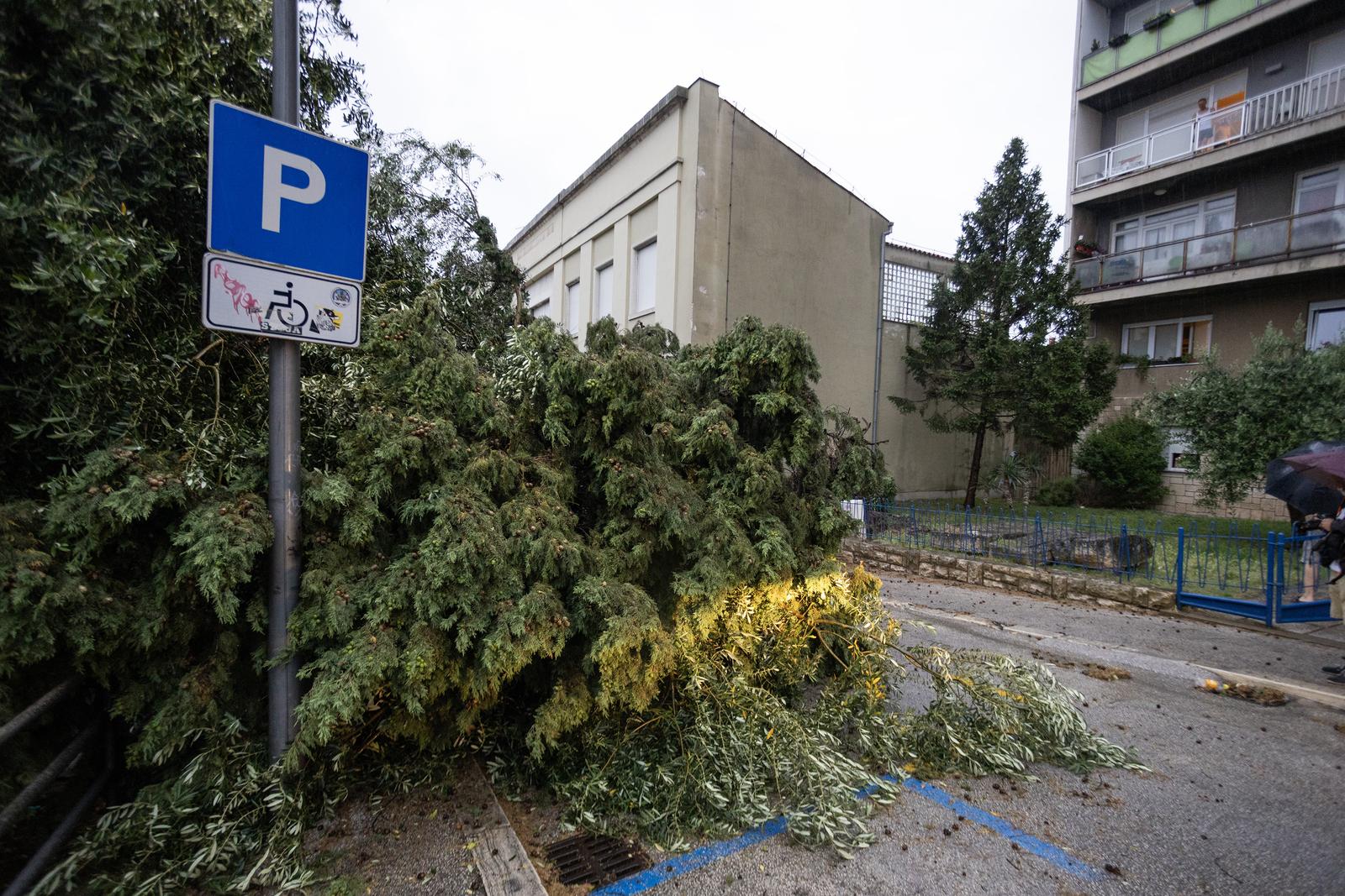 Olujno nevrijeme rušilo stabla u Puli Olujno nevrijeme rušilo stabla u Puli