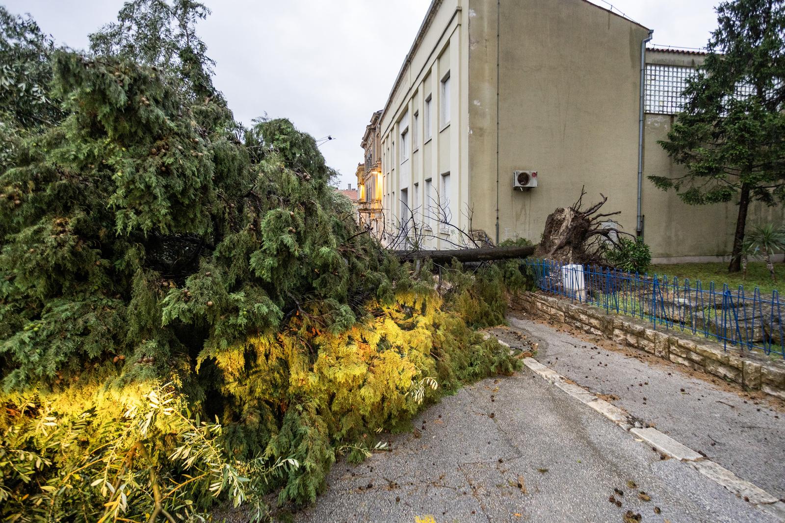 Olujno nevrijeme rušilo stabla u Puli Olujno nevrijeme rušilo stabla u Puli