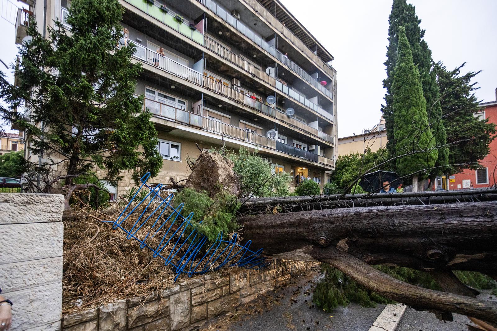 Olujno nevrijeme rušilo stabla u Puli Olujno nevrijeme rušilo stabla u Puli