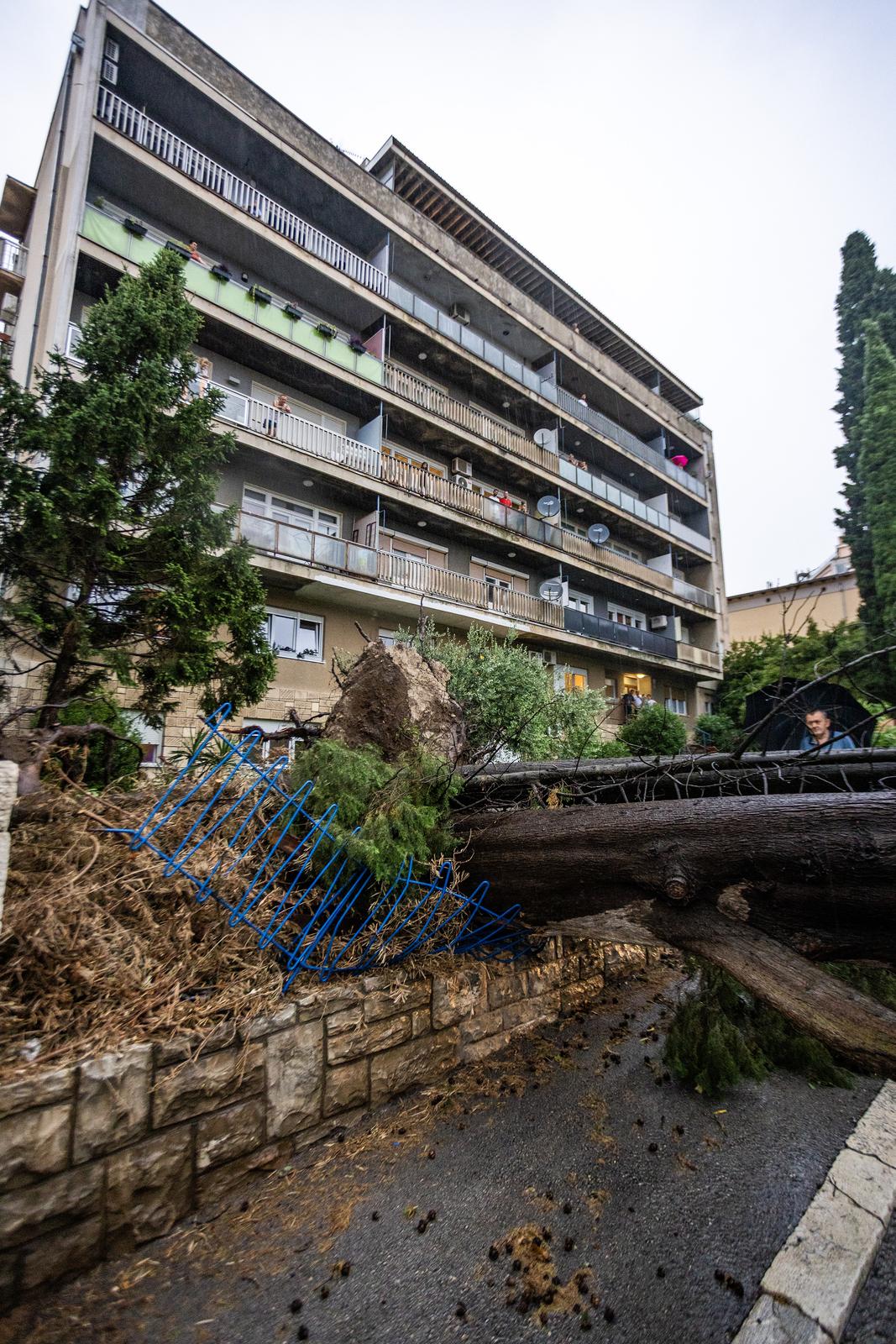 Olujno nevrijeme rušilo stabla u Puli Olujno nevrijeme rušilo stabla u Puli