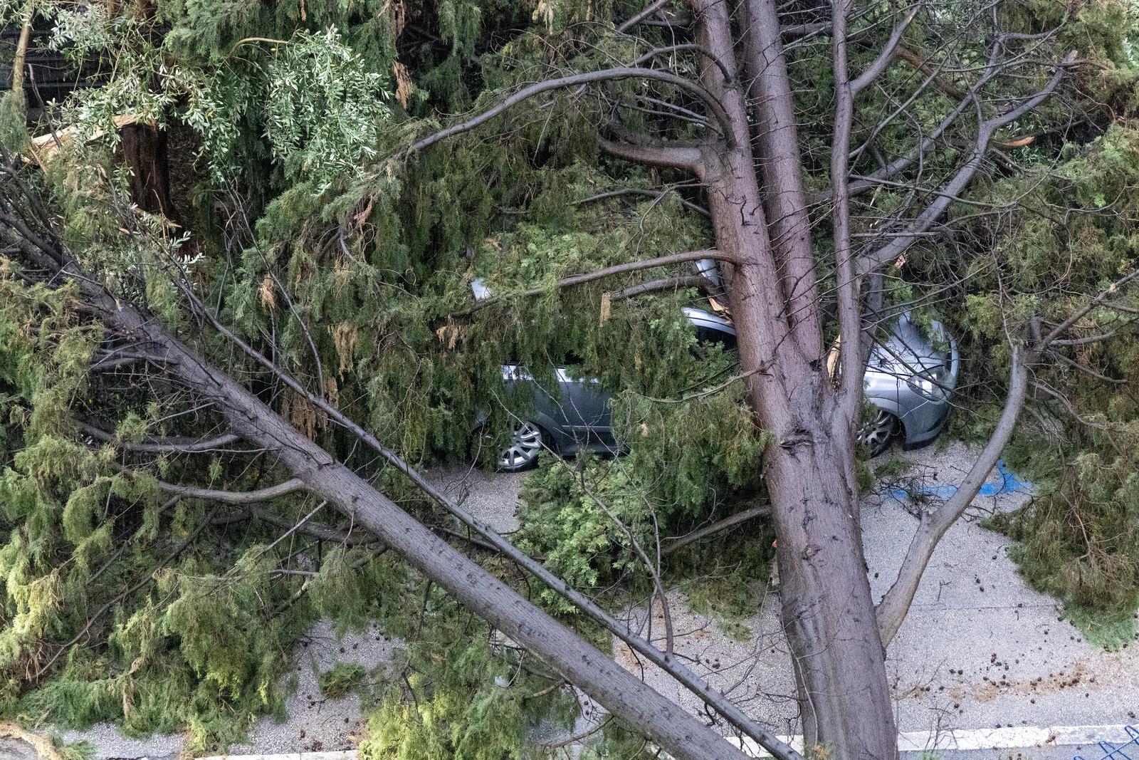 Olujno nevrijeme rušilo stabla u Puli Olujno nevrijeme rušilo stabla u Puli