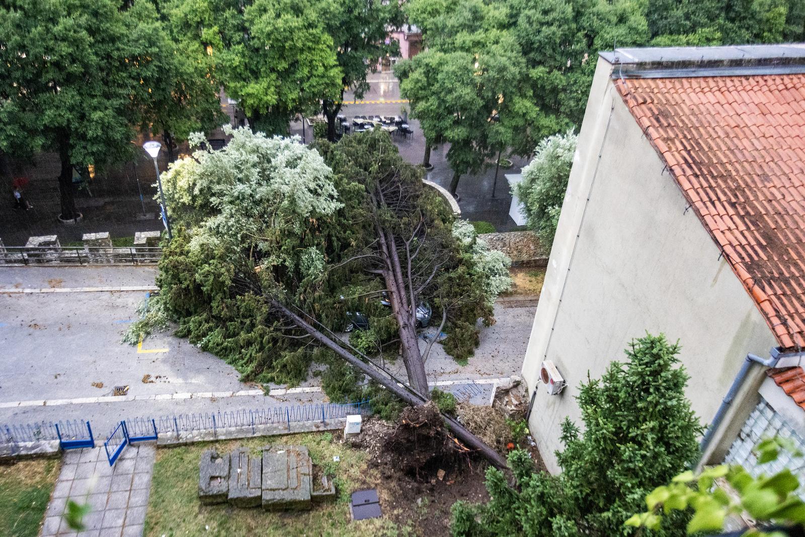 Olujno nevrijeme rušilo stabla u Puli Olujno nevrijeme rušilo stabla u Puli