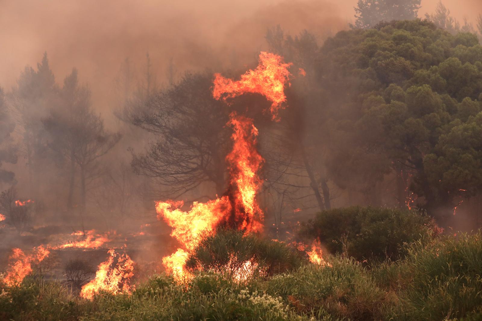Buknuo veliki požar u Pisku, vatra došla do kuća Buknuo veliki požar u Pisku, vatra došla do kuća