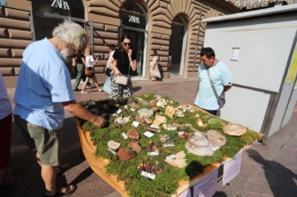 Rijeka: Izložba gljiva udruge gljivara Rijeka “Ožujka”