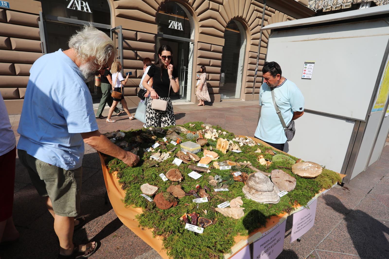 Rijeka: Izložba gljiva udruge gljivara Rijeka “Ožujka”
