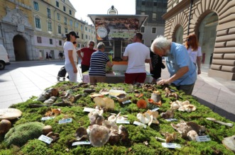 Rijeka: Izložba gljiva udruge gljivara Rijeka “Ožujka”
