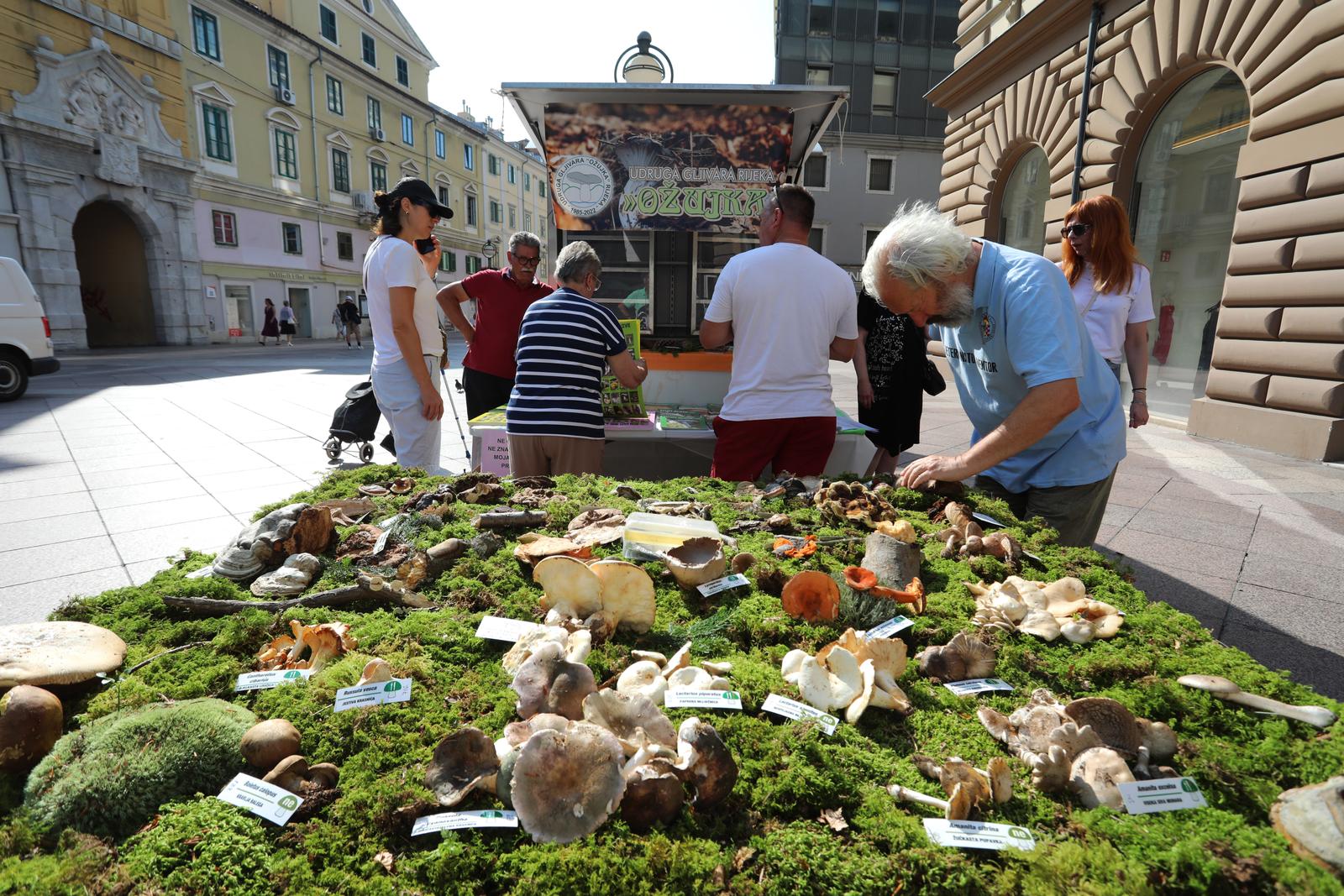 Rijeka: Izložba gljiva udruge gljivara Rijeka “Ožujka”