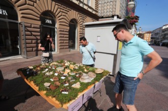 Rijeka: Izložba gljiva udruge gljivara Rijeka “Ožujka”