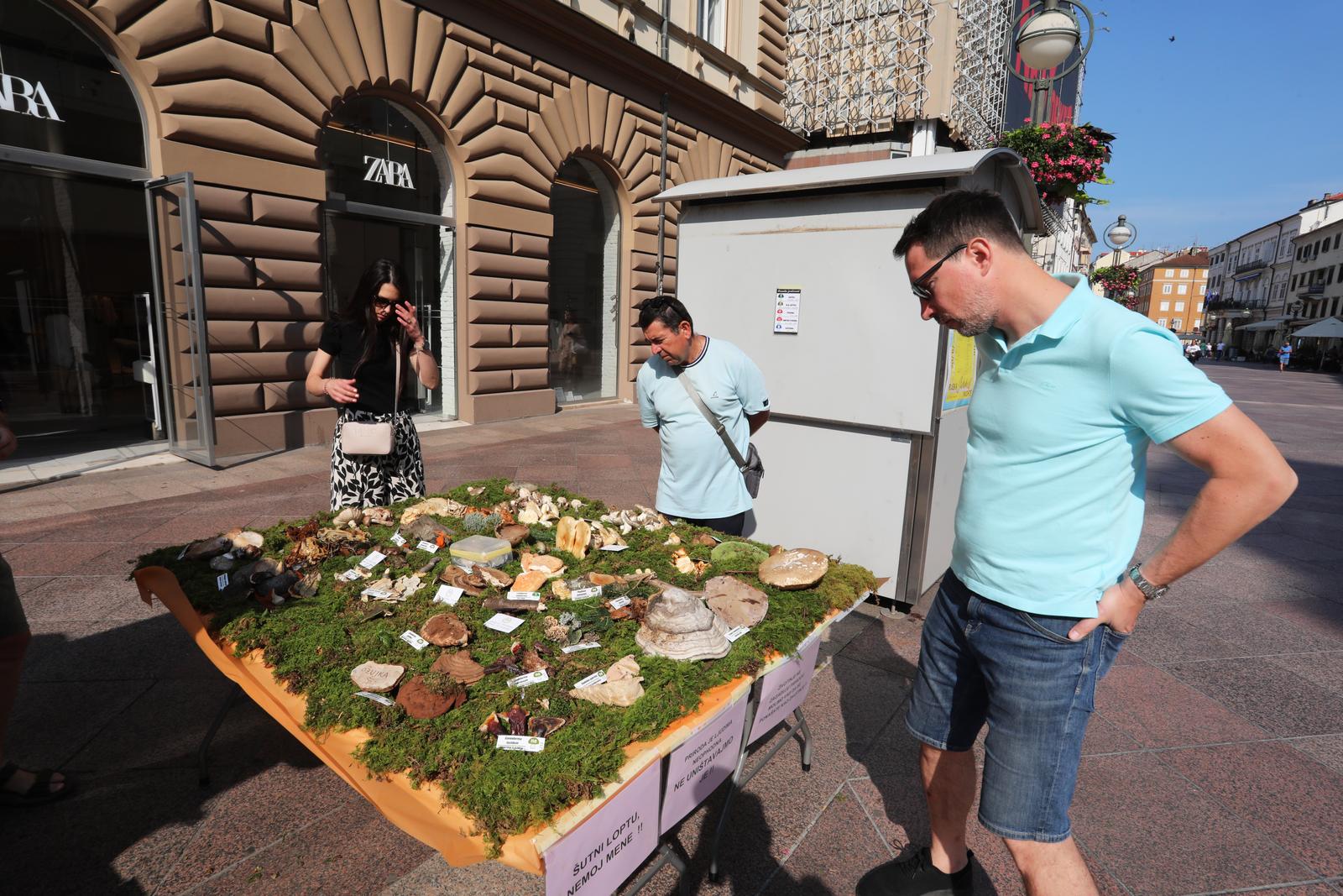 Rijeka: Izložba gljiva udruge gljivara Rijeka “Ožujka”