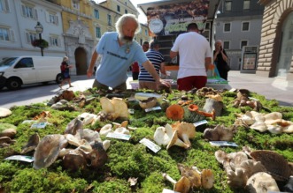 Rijeka: Izložba gljiva udruge gljivara Rijeka “Ožujka”