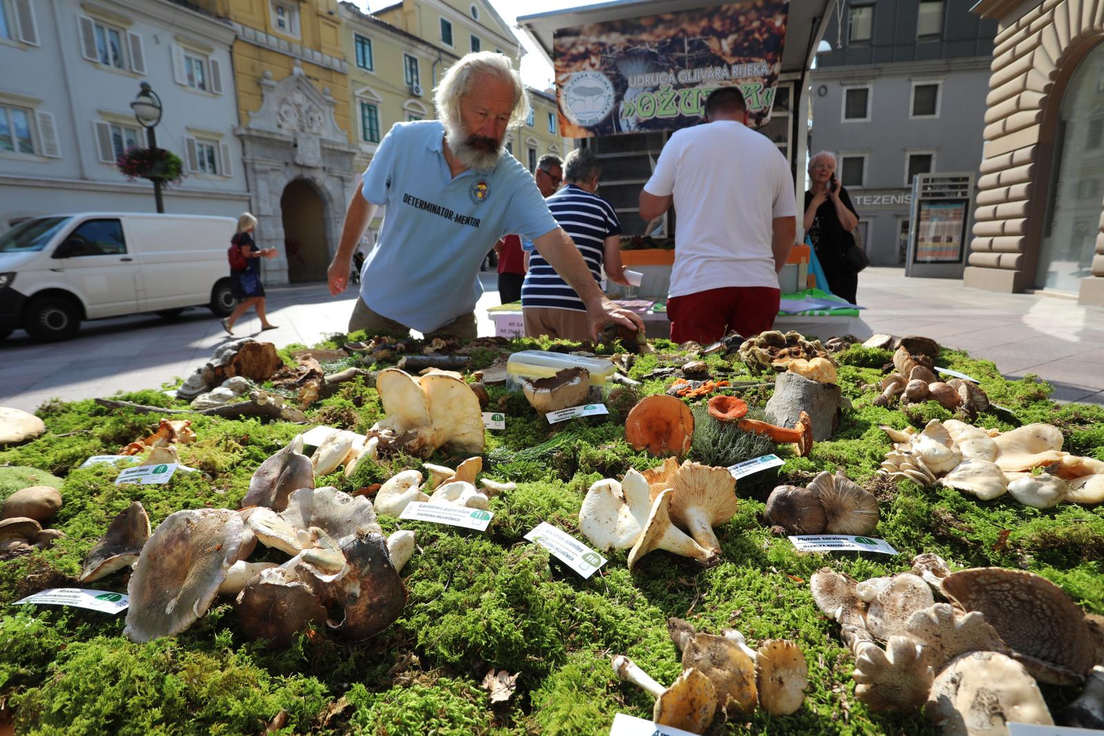 Rijeka: Izložba gljiva udruge gljivara Rijeka “Ožujka”