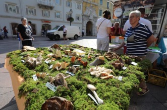 Rijeka: Izložba gljiva udruge gljivara Rijeka “Ožujka”