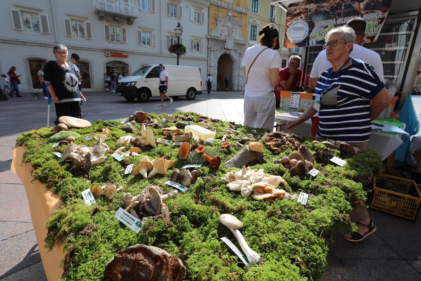Rijeka: Izložba gljiva udruge gljivara Rijeka “Ožujka”