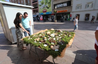 Rijeka: Izložba gljiva udruge gljivara Rijeka “Ožujka”