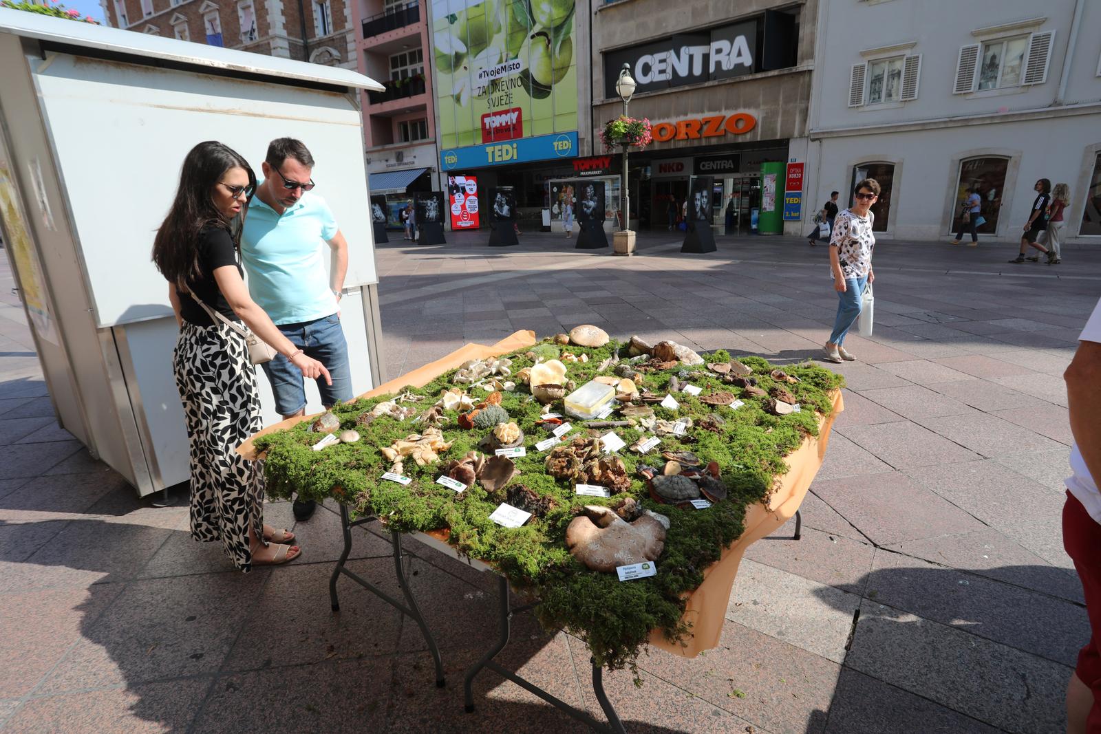 Rijeka: Izložba gljiva udruge gljivara Rijeka “Ožujka”