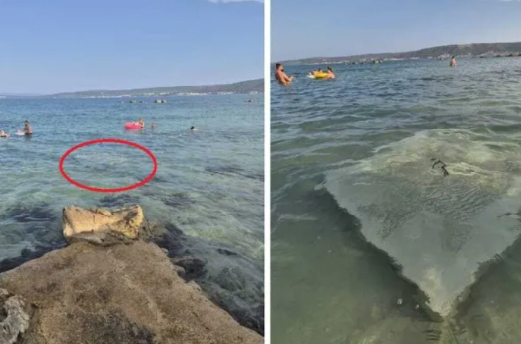 blok vez morski.hr 2