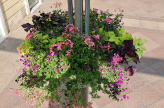 cvjetne-kosare-16 cvjetne-kosare-16