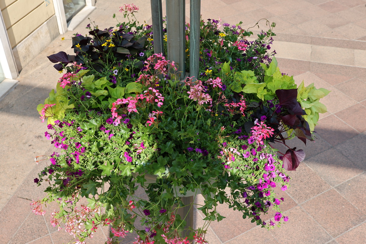 cvjetne-kosare-16 cvjetne-kosare-16