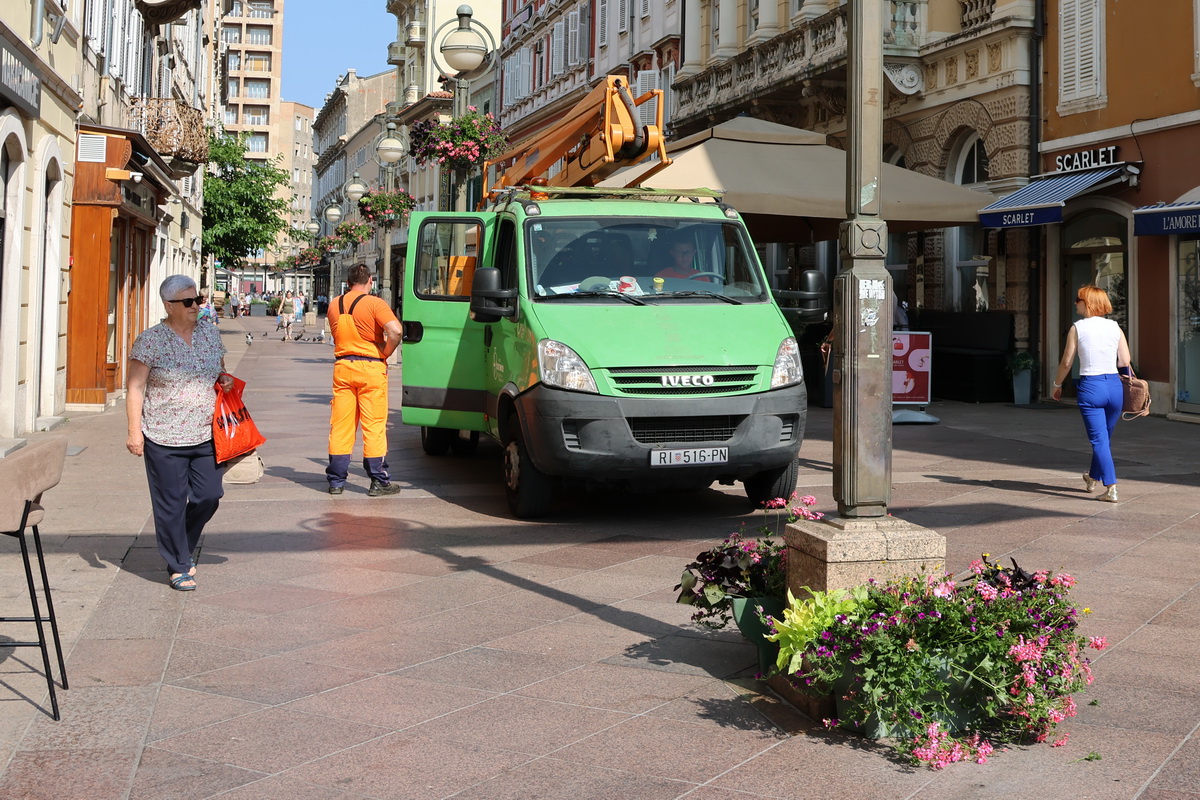 cvjetne-kosare-2 cvjetne-kosare-2