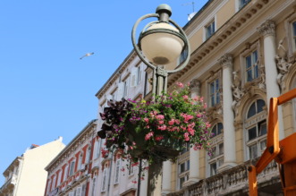 cvjetne-kosare-3 cvjetne-kosare-3