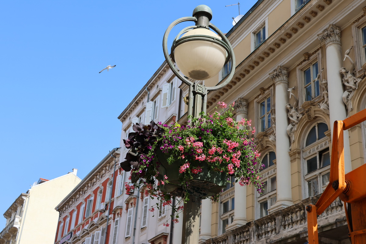 cvjetne-kosare-3 cvjetne-kosare-3