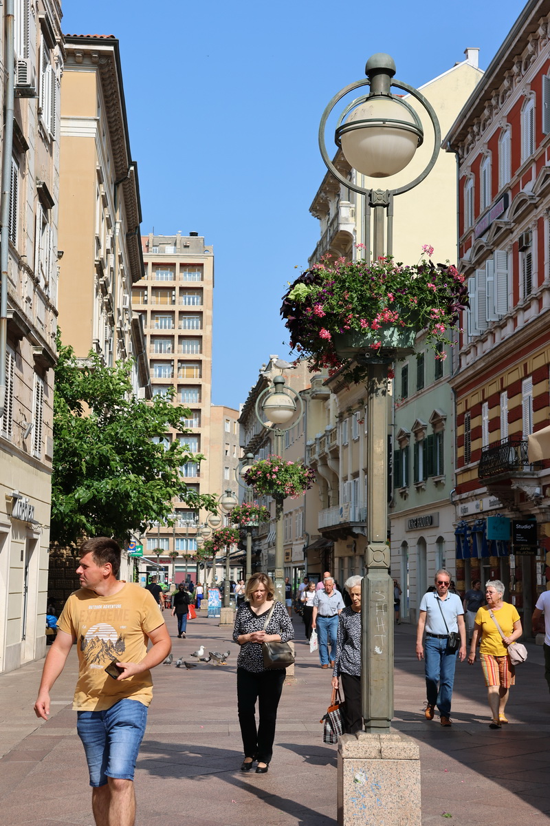 cvjetne-kosare-4 cvjetne-kosare-4