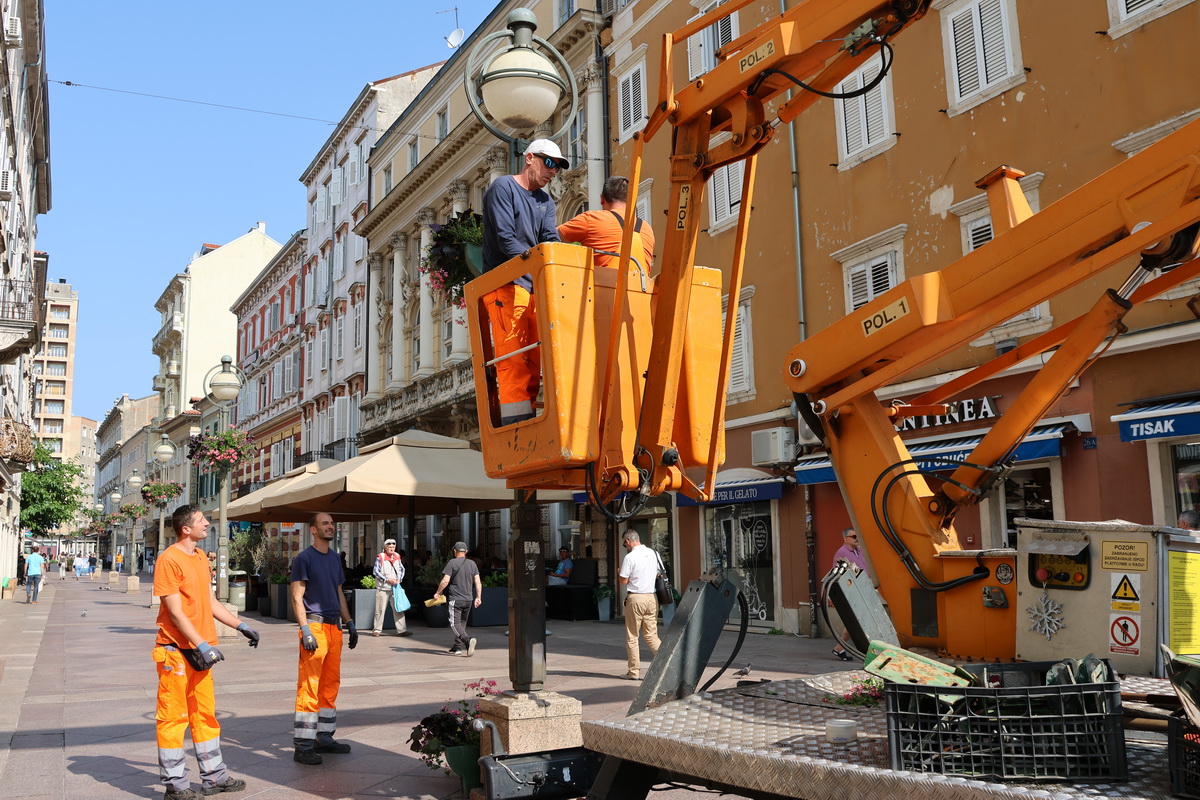 cvjetne-kosare-8 cvjetne-kosare-8