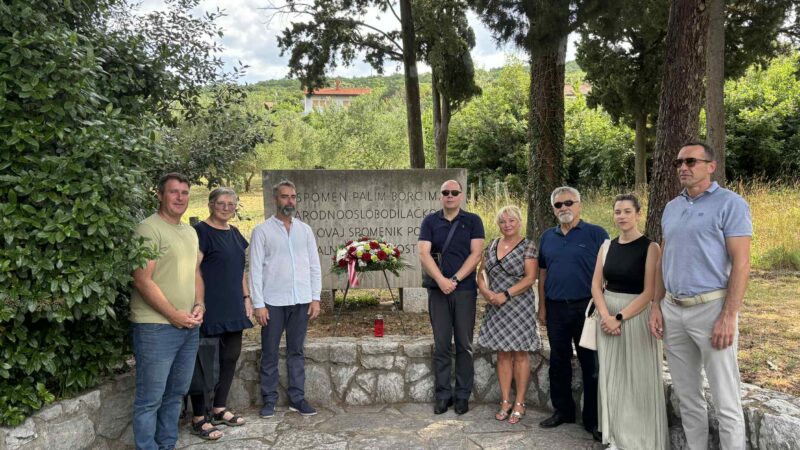 d397d78a-ddad-4b96-b964-ff4445a122ae-800×450